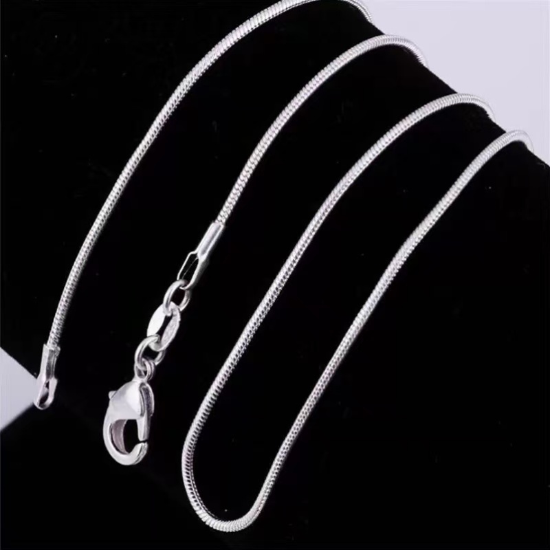 2pcs Anti-Allergy Silver Plated Snake Bone Chain Necklace Set